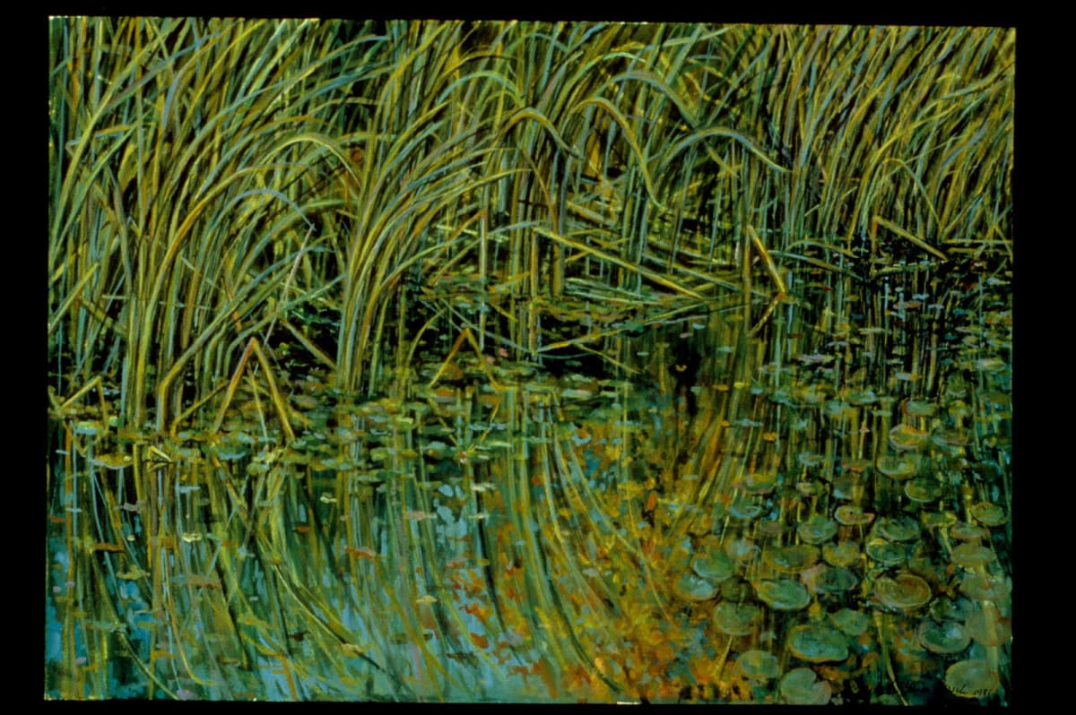 Dorland Pond #12 by Gilah Yelin Hirsch 