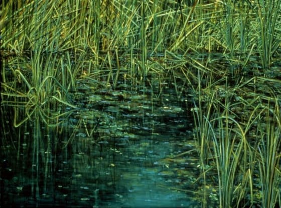 Dorland Pond #14 by Gilah Yelin Hirsch 