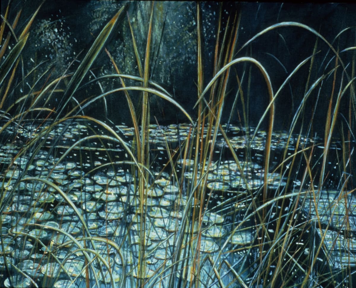 Dorland Pond #17 by Gilah Yelin Hirsch 