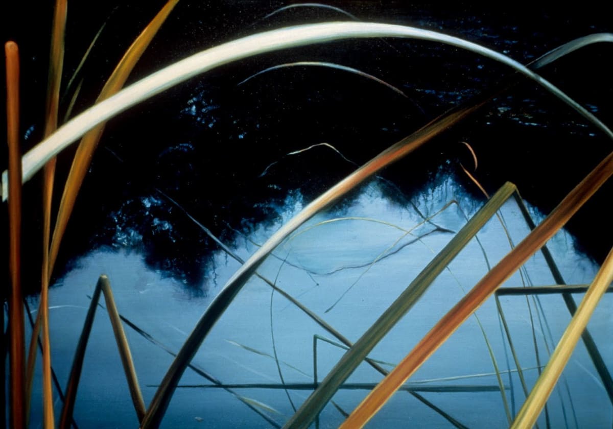 Dorland Pond #27 by Gilah Yelin Hirsch 
