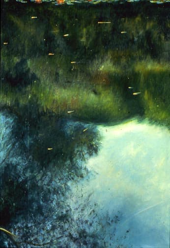 Dorland Pond #28 by Gilah Yelin Hirsch 