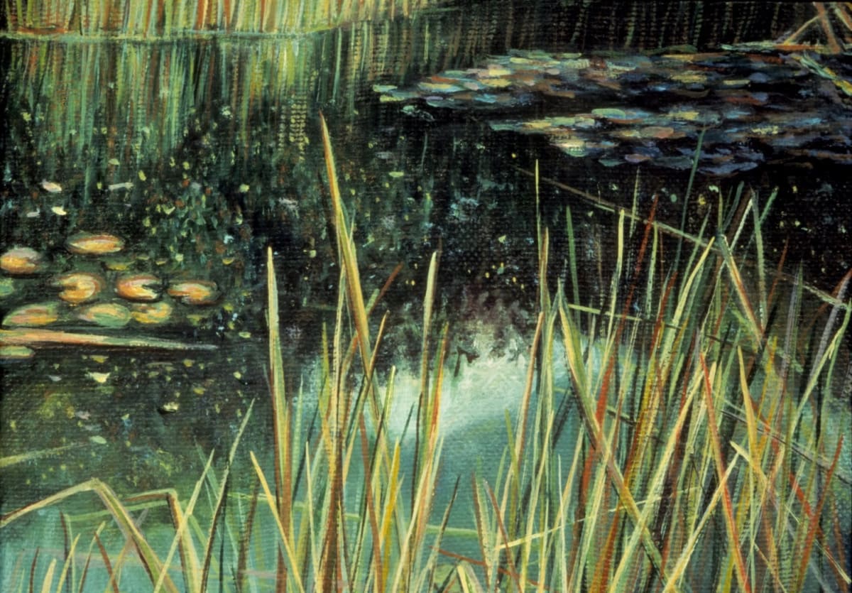 Dorland Pond #43 by Gilah Yelin Hirsch 