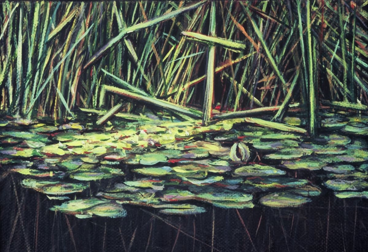 Dorland Pond #45 by Gilah Yelin Hirsch 