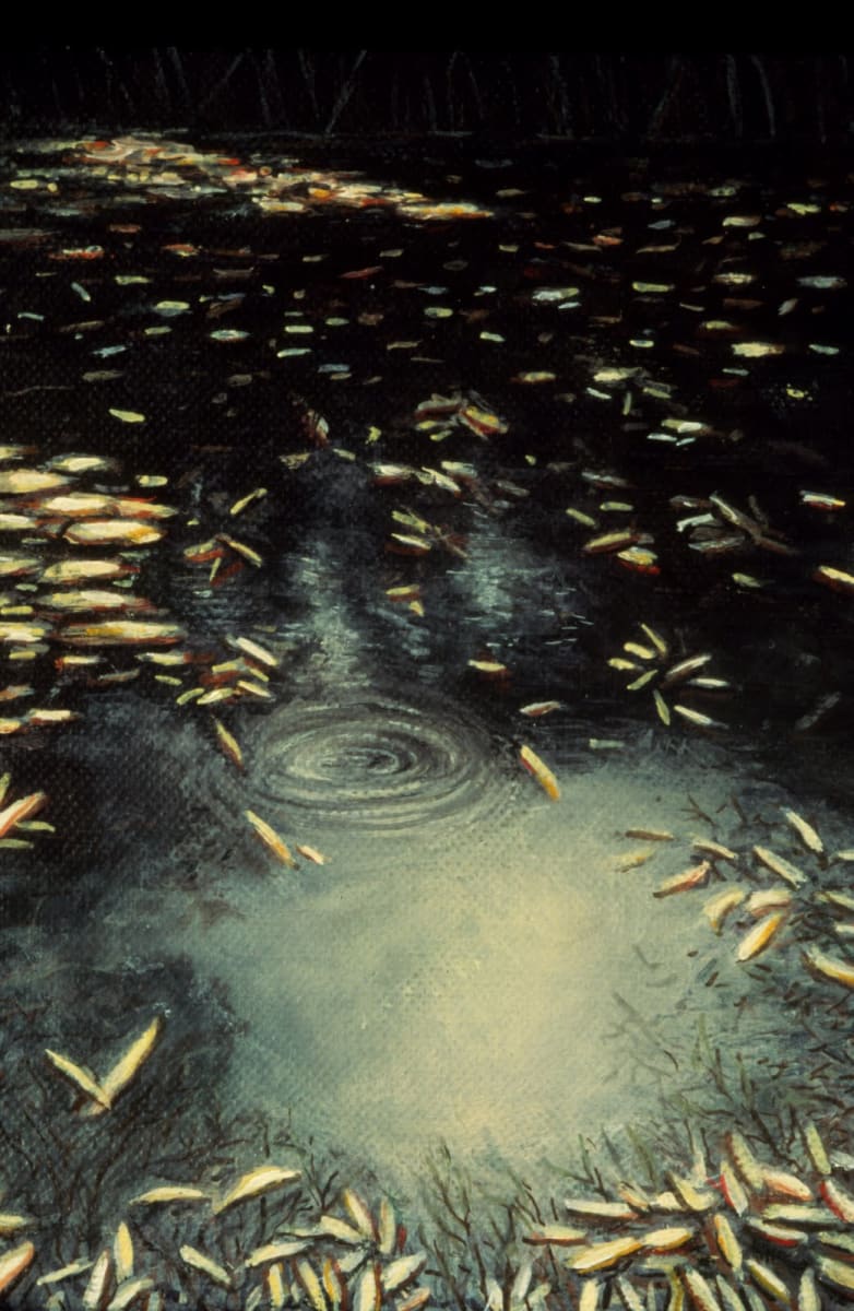 Dorland Pond #46 by Gilah Yelin Hirsch 