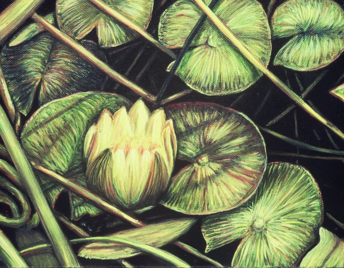 Dorland Pond #52, Close Glow by Gilah Yelin Hirsch 