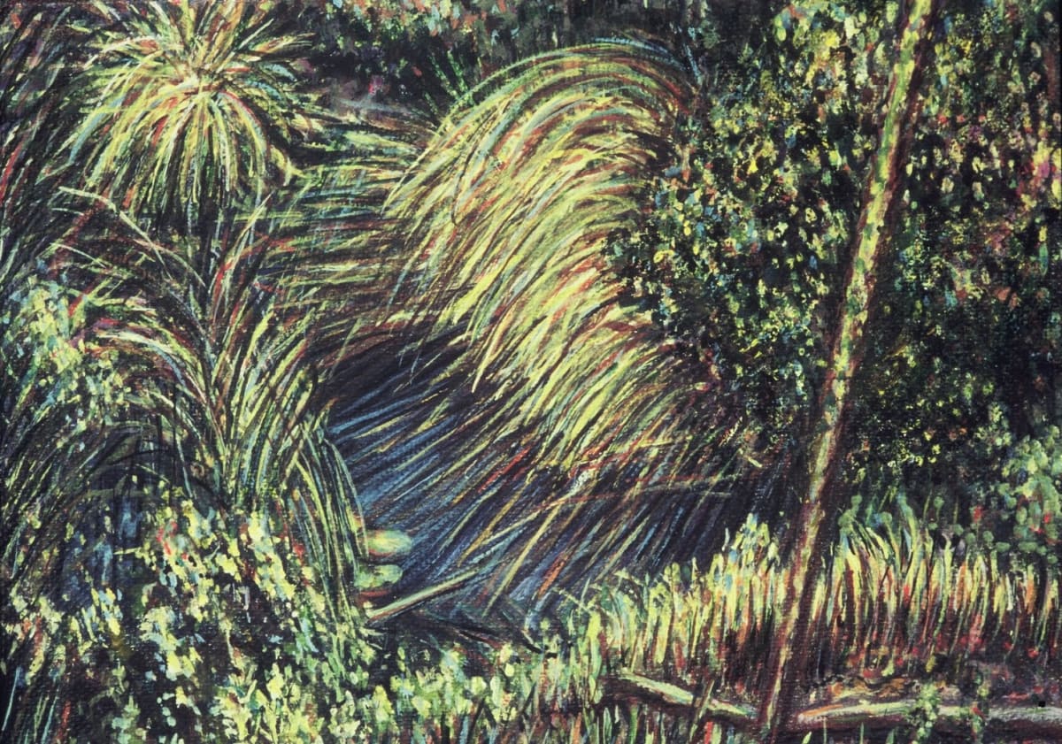 Dorland Pond #53 by Gilah Yelin Hirsch 