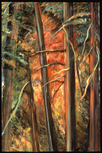 Fire Fall by Gilah Yelin Hirsch 