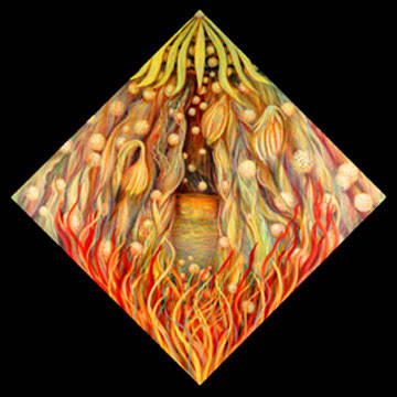 Gratitude by Gilah Yelin Hirsch 