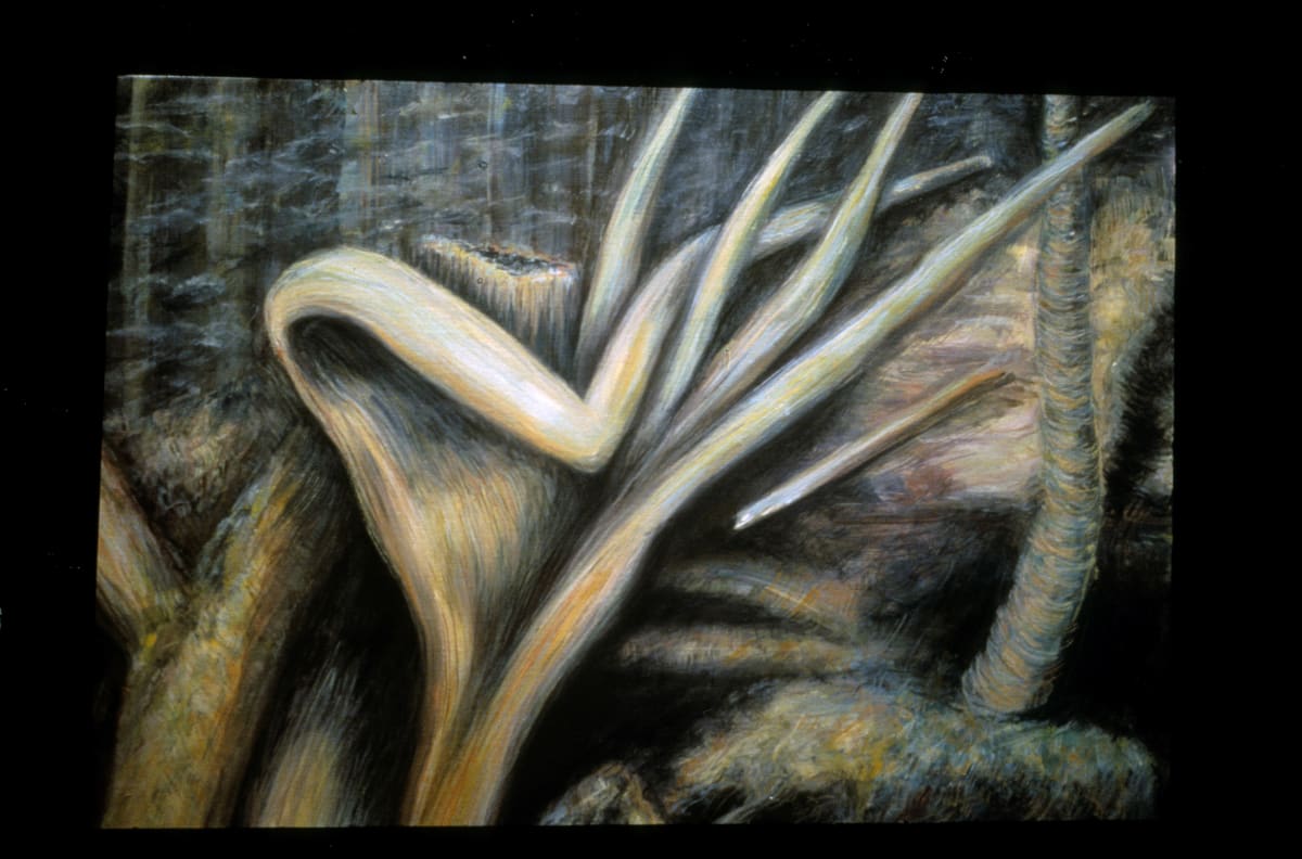 Hand of Nature by Gilah Yelin Hirsch 