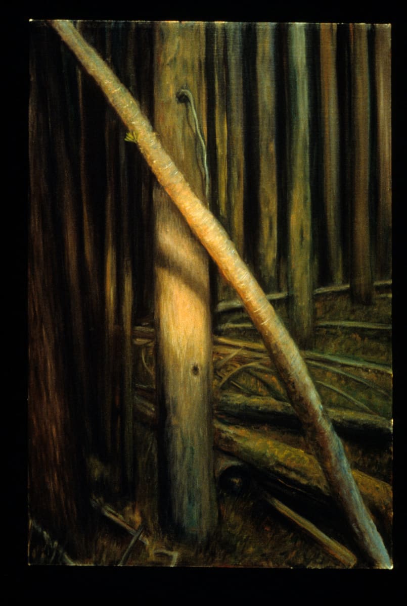 Hope by Gilah Yelin Hirsch 