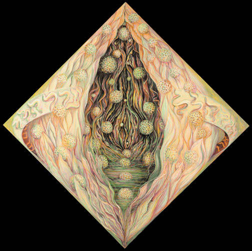 Light as Space as Skin by Gilah Yelin Hirsch 