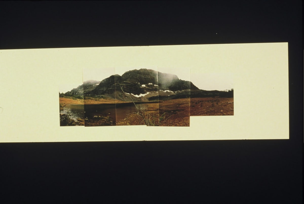 Neohippus by Gilah Yelin Hirsch, Image 1.