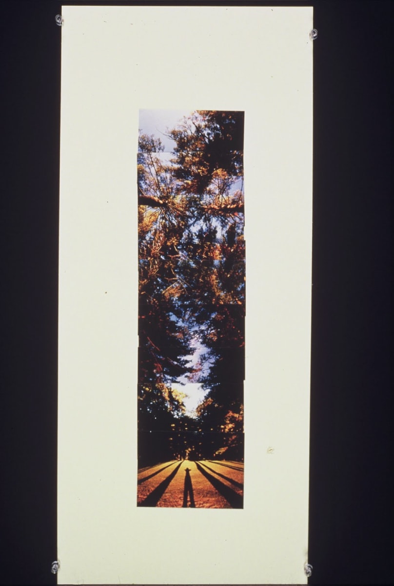 Photomural #03 by Gilah Yelin Hirsch 
