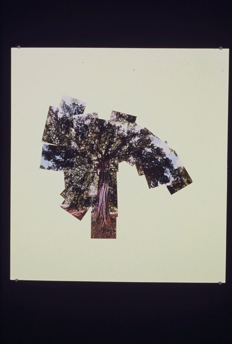 Photomural #06 by Gilah Yelin Hirsch, Image 1.