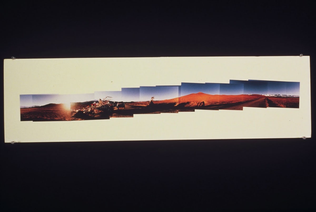 Photomural #09 by Gilah Yelin Hirsch 