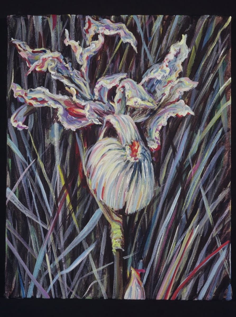 Rim Series #18, Wild Iris by Gilah Yelin Hirsch 