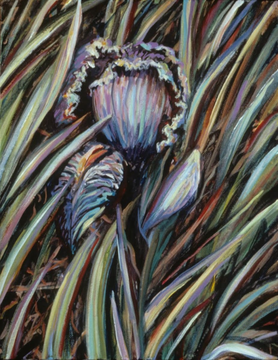Rim Series #19, Domestic Iris by Gilah Yelin Hirsch 