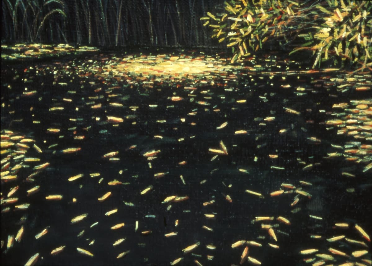 Dorland Pond #47 by Gilah Yelin Hirsch 