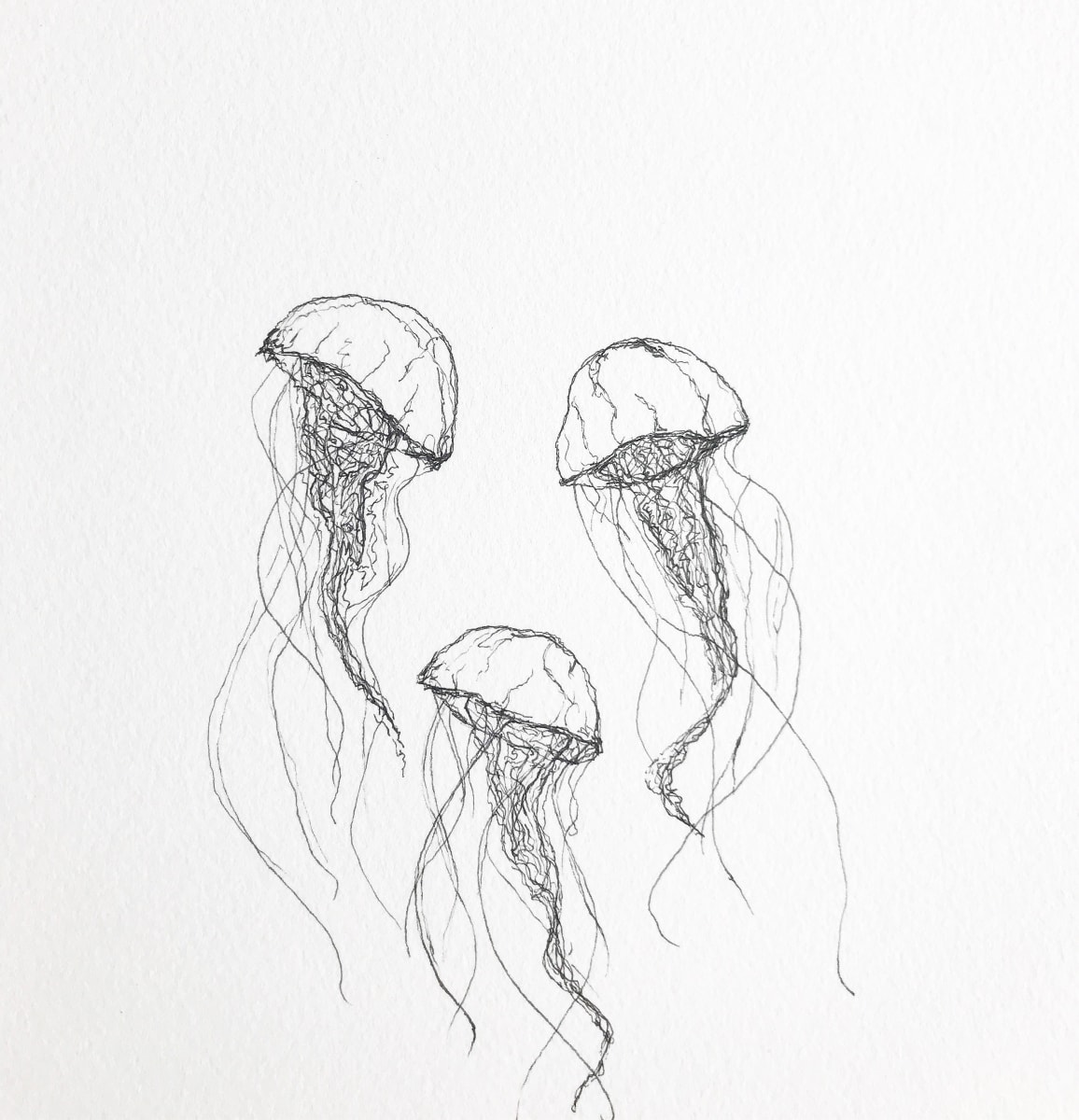 Jellies by Michelle Shaw 