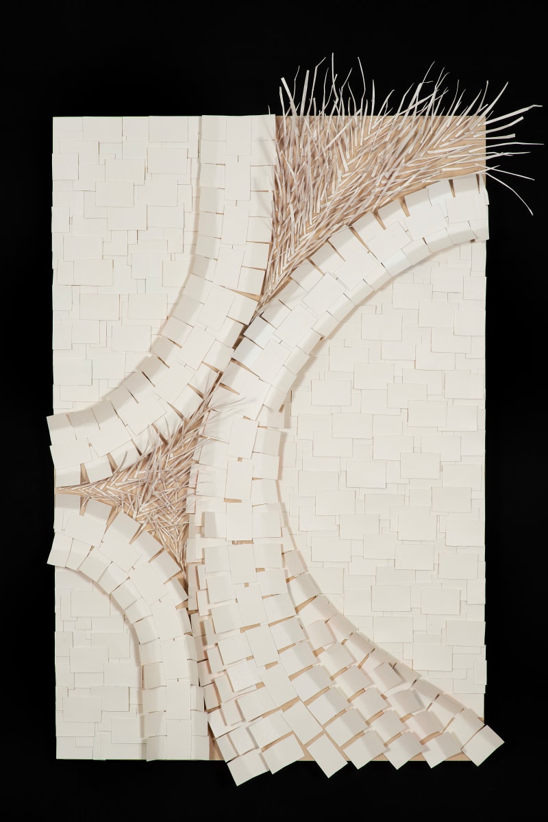 Pathways One by Michelle Shaw 