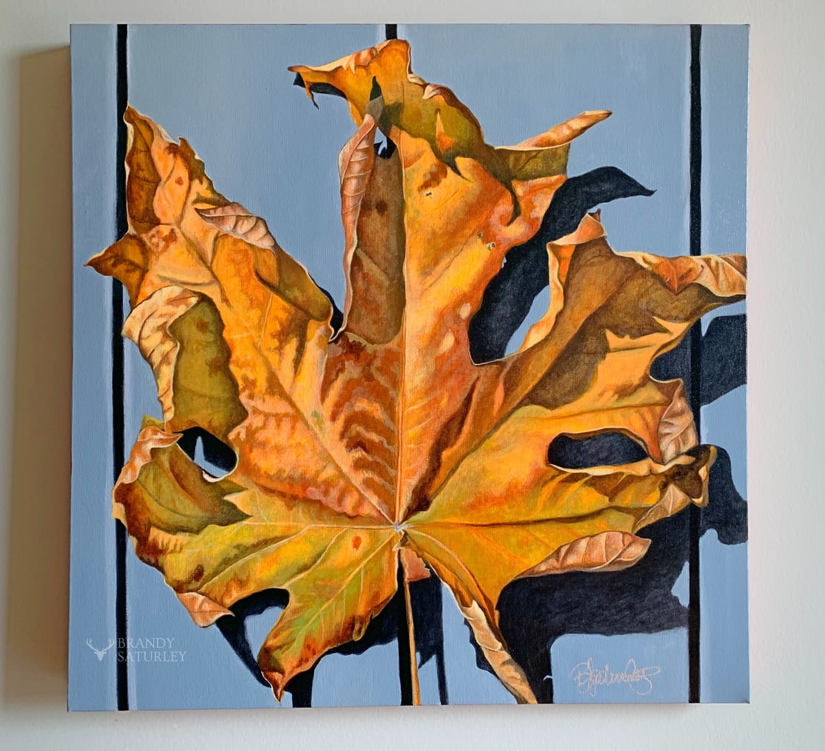 Golden Maple by Brandy Saturley 