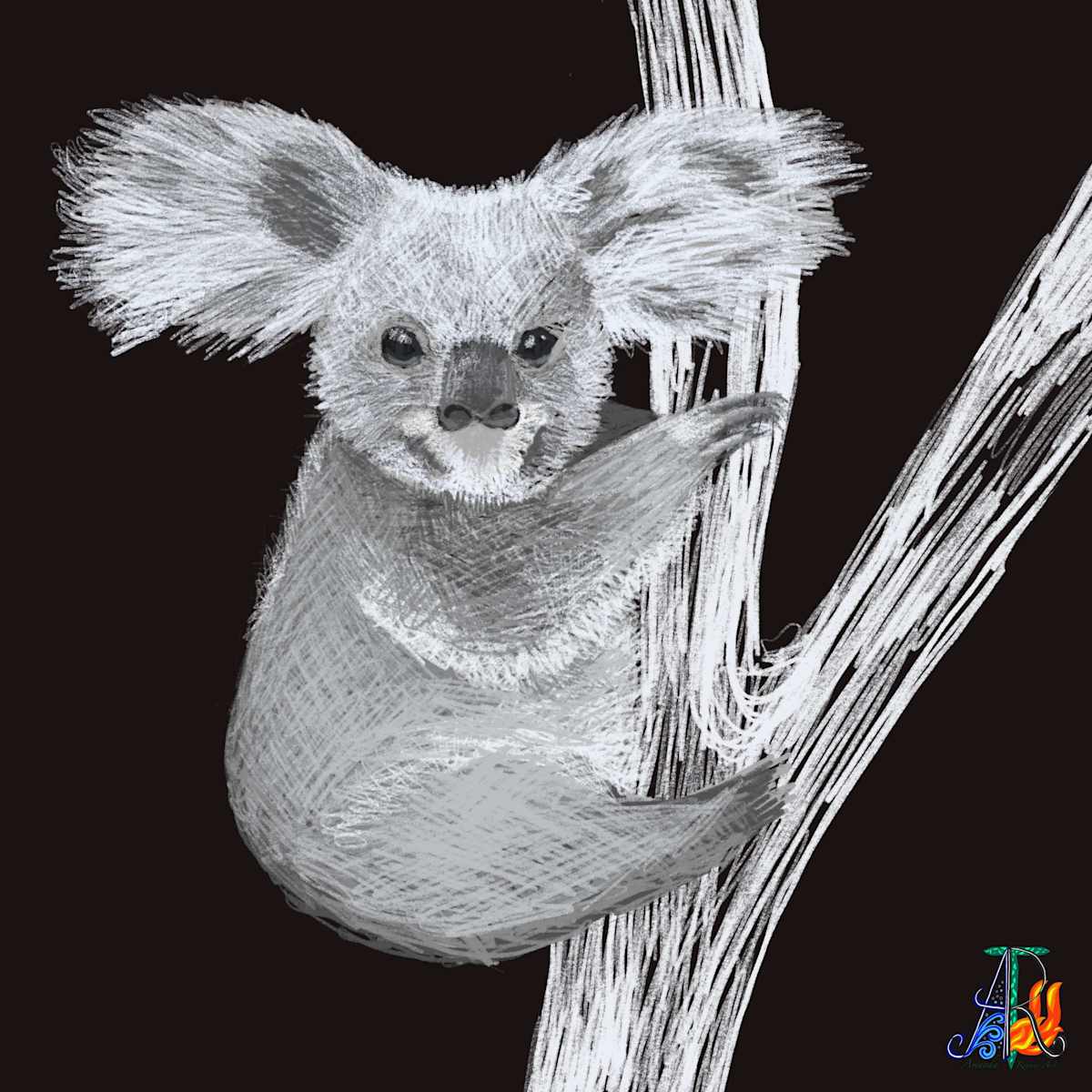 Fuzzy Koala, Image 1.