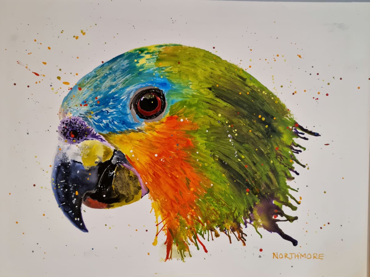 Parrot face  Image: Ink pen painting of a parrot on board