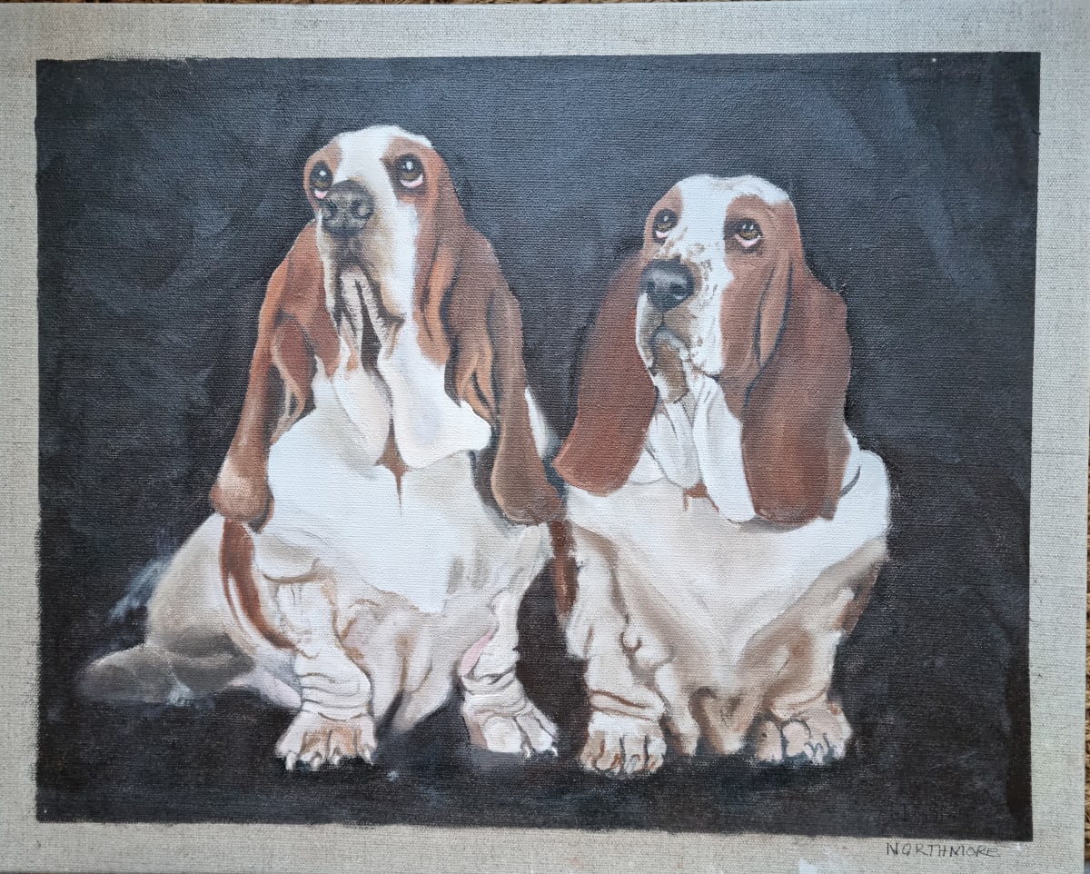 Hush Puppies by Gillian Northmore  Image: I love the look on the dogs eyes and the Bassett Hounds are such a soulful looking dogs