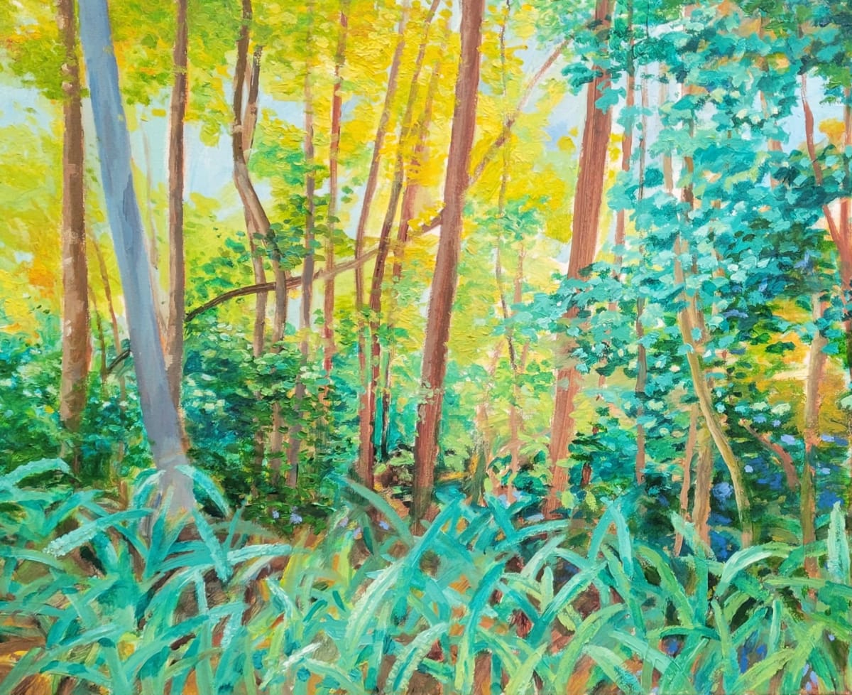 Ferns in the Forest by Joe Roache 