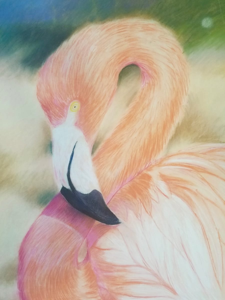 Pink Flamingo 