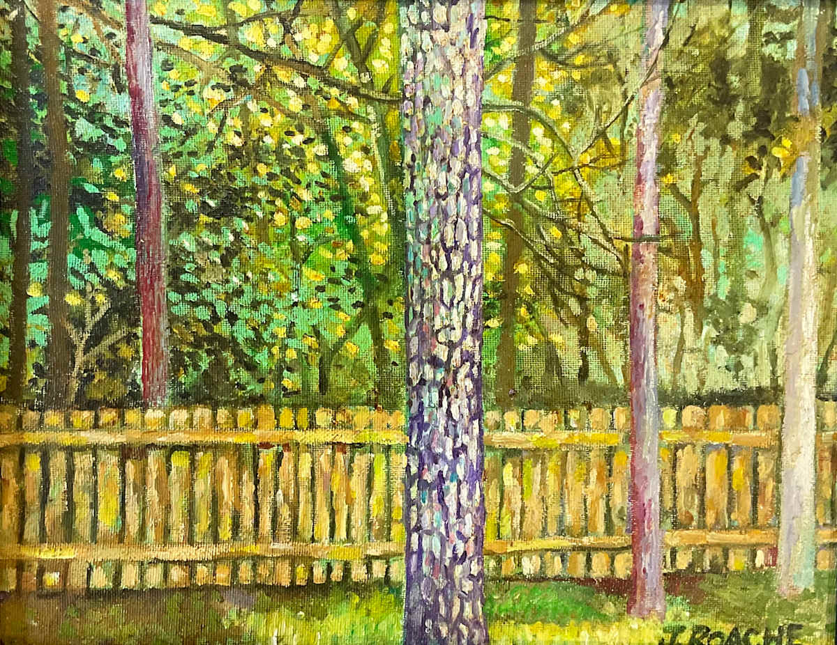Backyard Fence by Joe Roache 