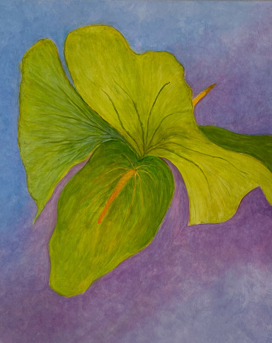 Anthurium by Brian Woolford  Image: Anthurium