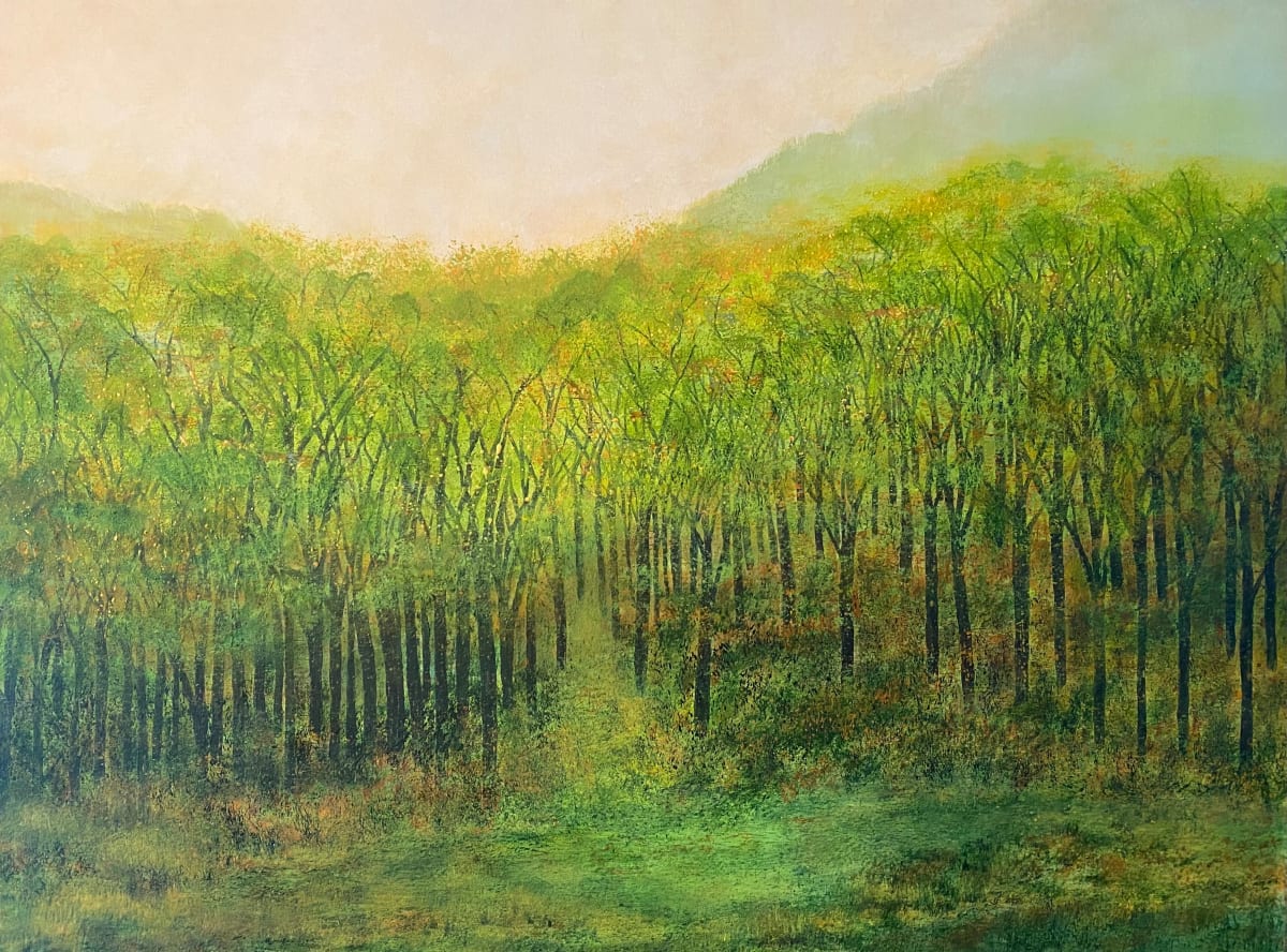 Forest Light, Image 1.