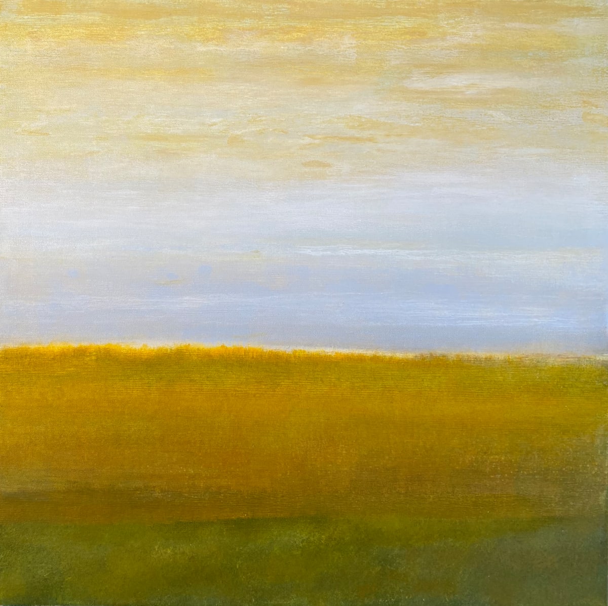 Grasslands AM by Brian Woolford, Image 1.