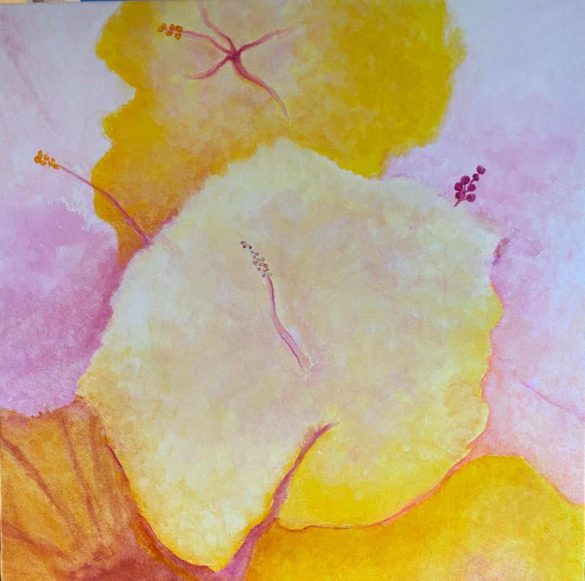 Hibiscus by Brian Woolford, Image 1.