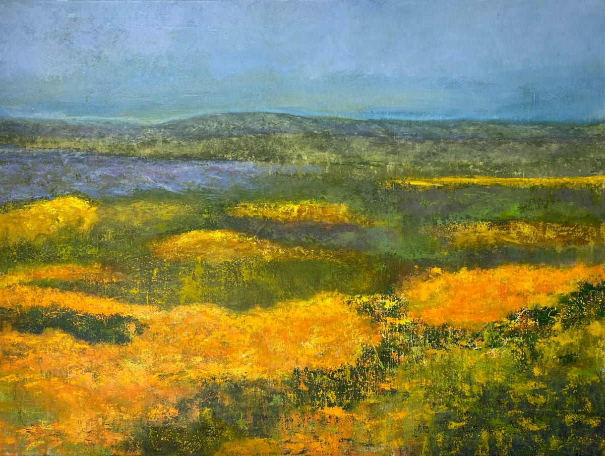 Carrizo Plain by Brian Woolford, Image 1.