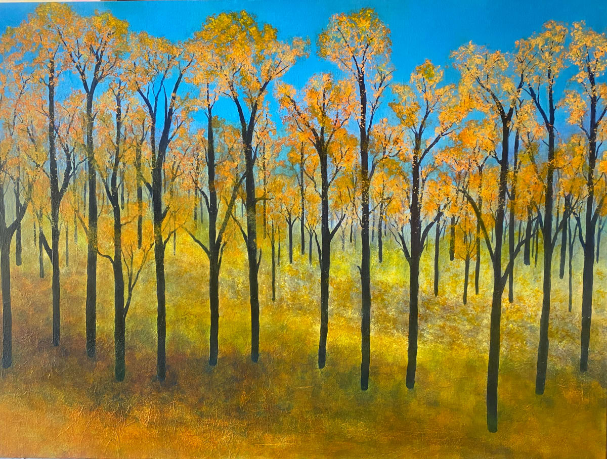 Light of the Forest by Brian Woolford  Image: Light of the Forest