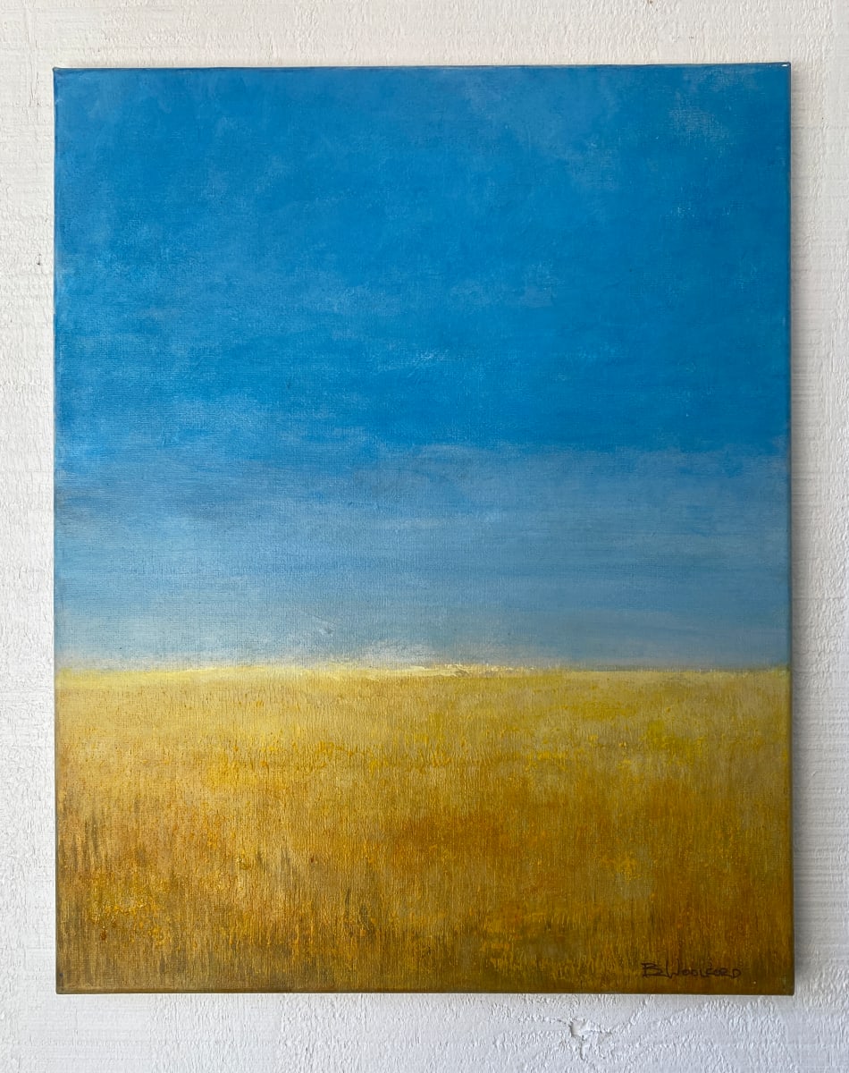 Sky Over Plains by Brian Woolford  Image: Sky Over Plains