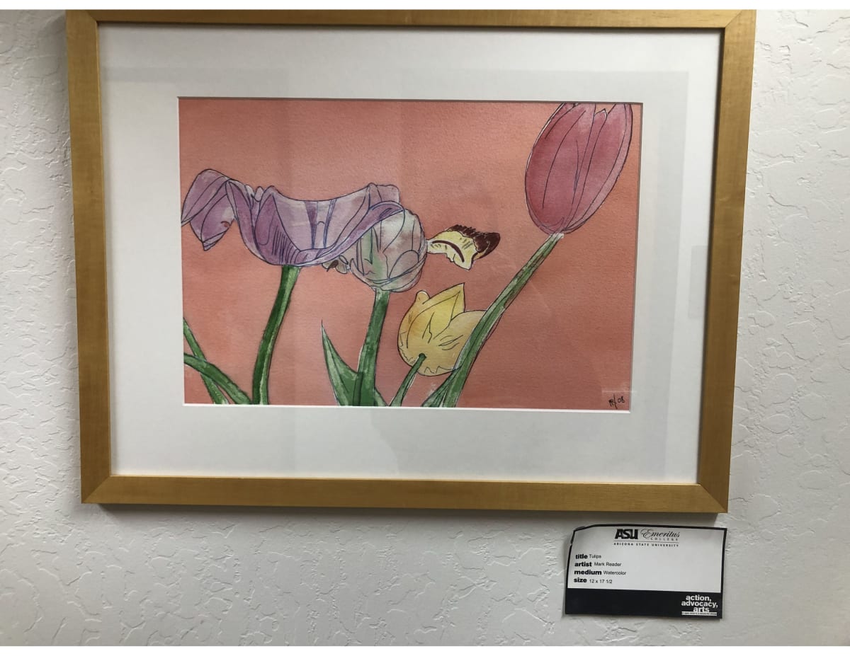 Tulips by Mark Reader 