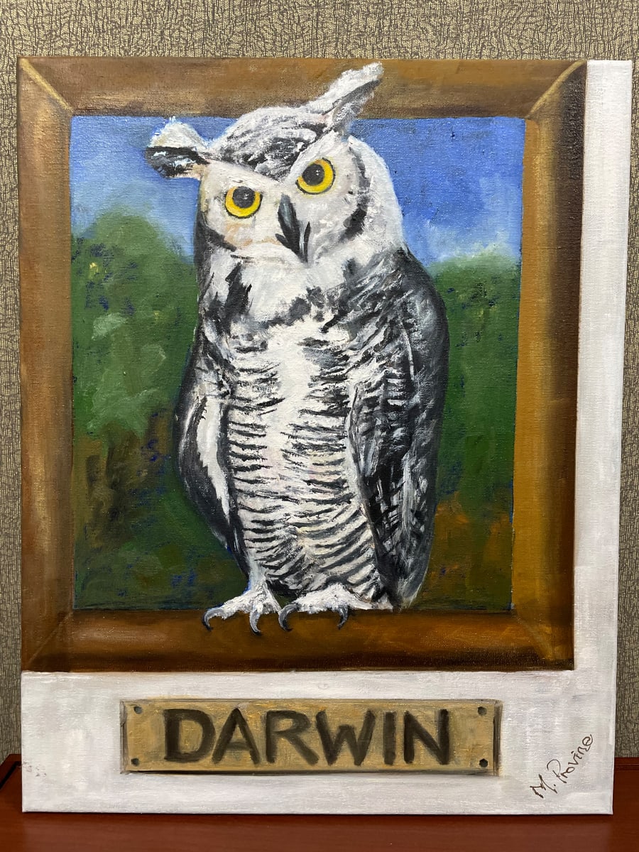 Darwin by Marie Provine 