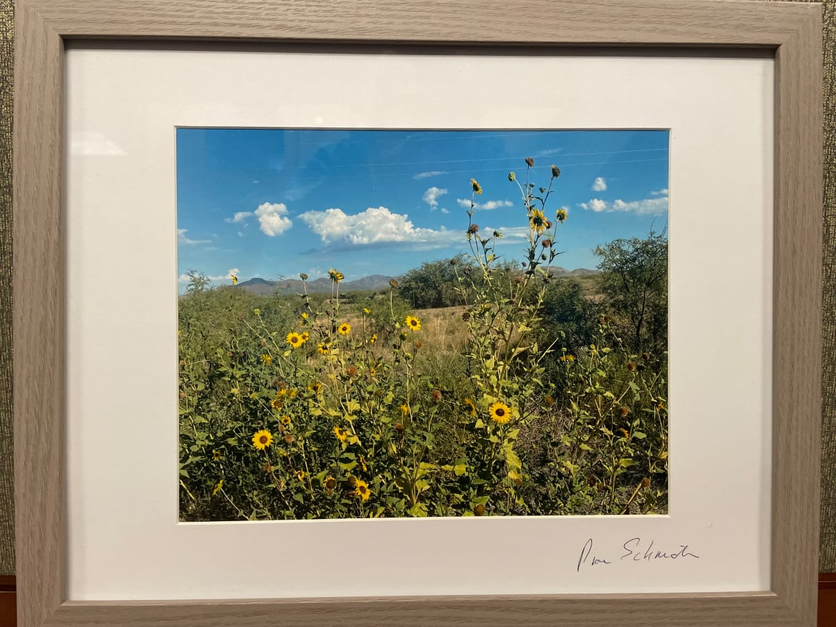 Sunflowers by Anne L. Schneider  Image: Sunflowers