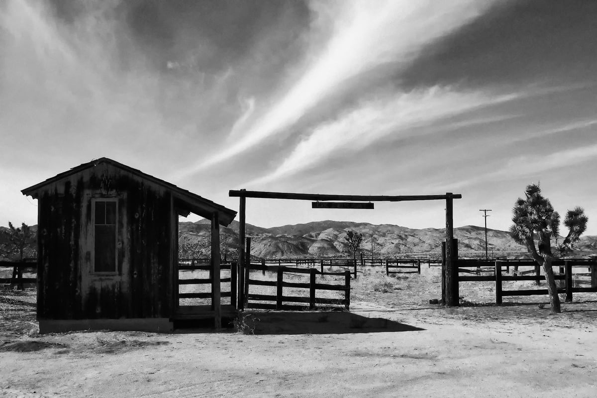 The OK Corral by Mark Peacock  Image: Photograph