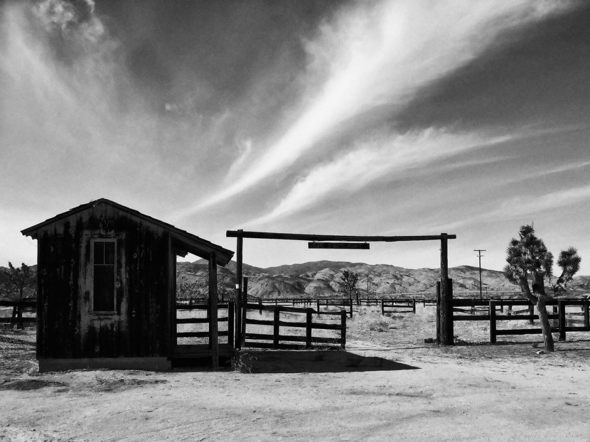 The OK Corral by Mark Peacock 