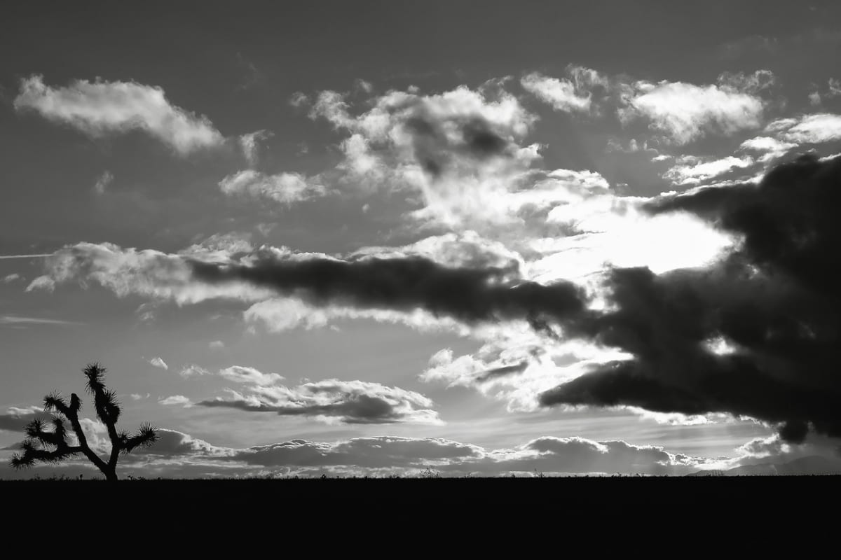 Mojave Desert Skyline by Mark Peacock  Image: Photograph