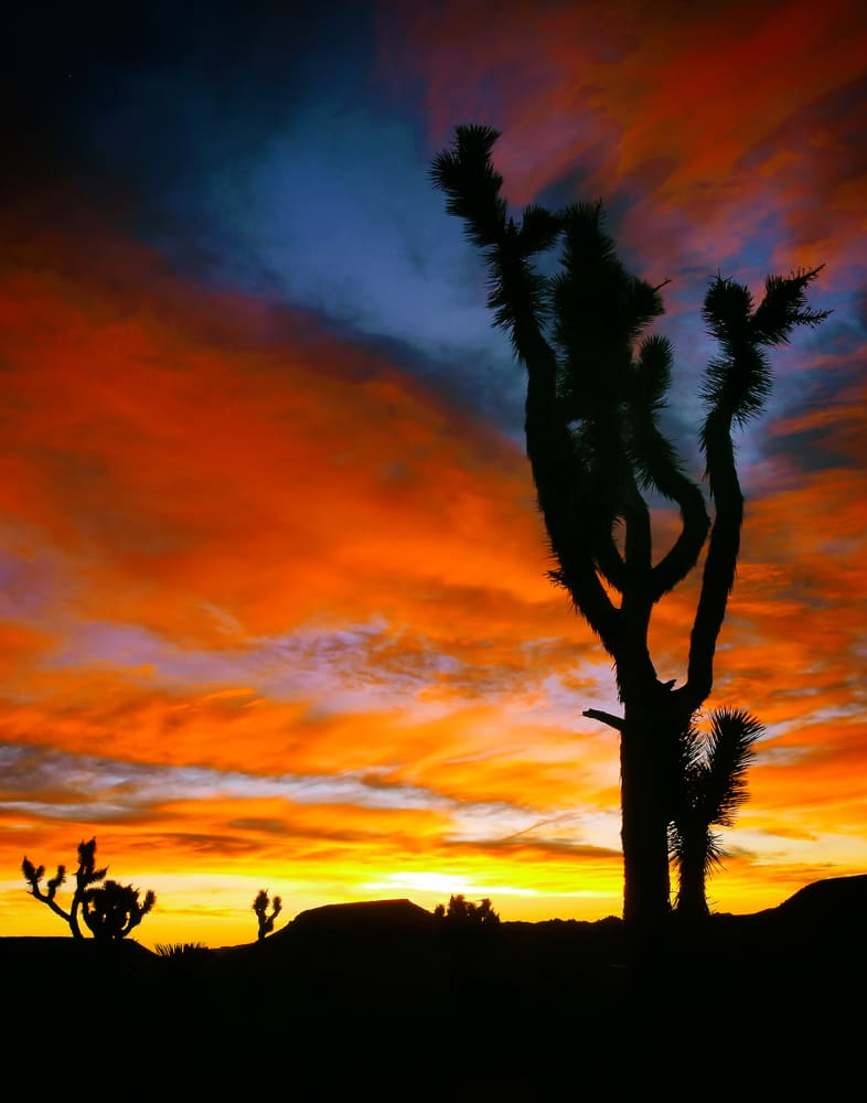 Pipes Canyon Sunrise by Mark Peacock  Image: Photograph
