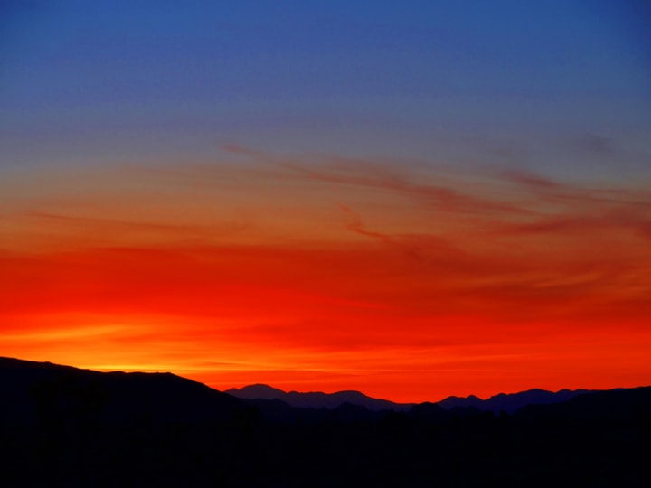 Joshua Tree Sunset Triptych by Mark Peacock  Image: Photograph
