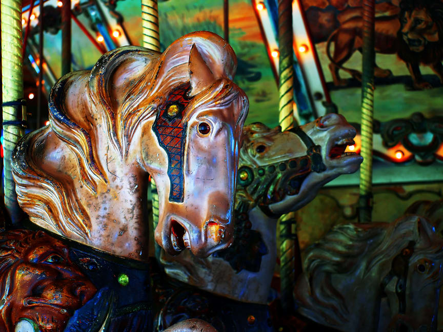 Palamino Carousel Horse Portrait by Mark Peacock  Image: Photograph