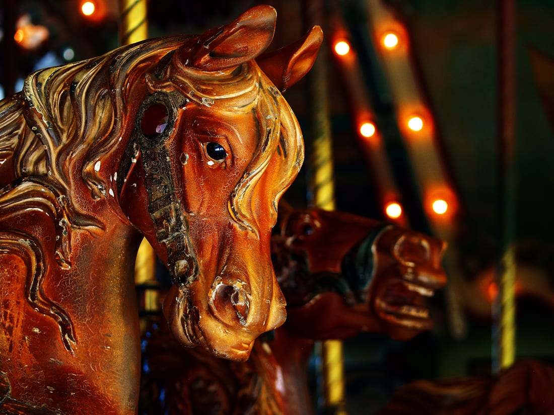 Carousel Chestnut Horse - Portrait by Mark Peacock  Image: Photograph