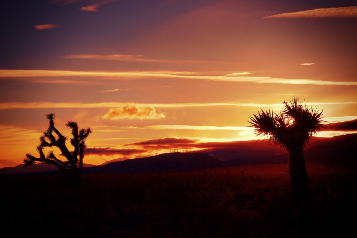 Mojave Desert Sunset by Mark Peacock  Image: Photograph
