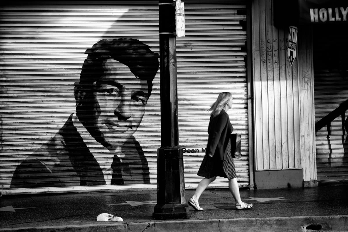 Dino by Mark Peacock  Image: Photograph